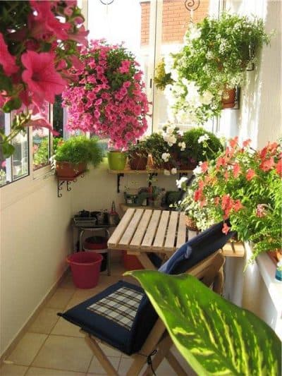 greenhouse on the balcony