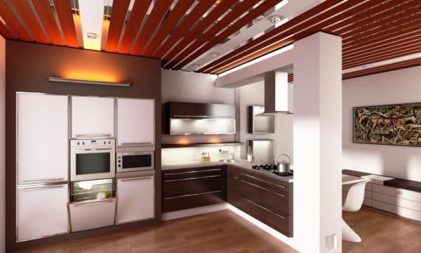 Ceiling decoration in the kitchen options